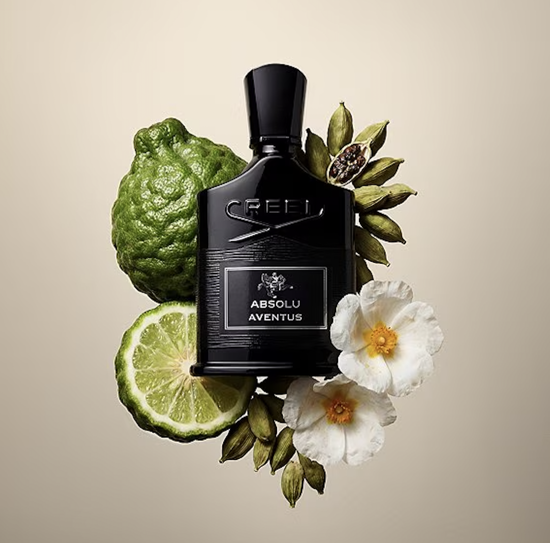 Creed Absolu Aventus